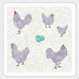 Lavender Ameraucana Pattern Cream Sticker